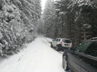 Bringtreueprüfung in Mürzzuschlag